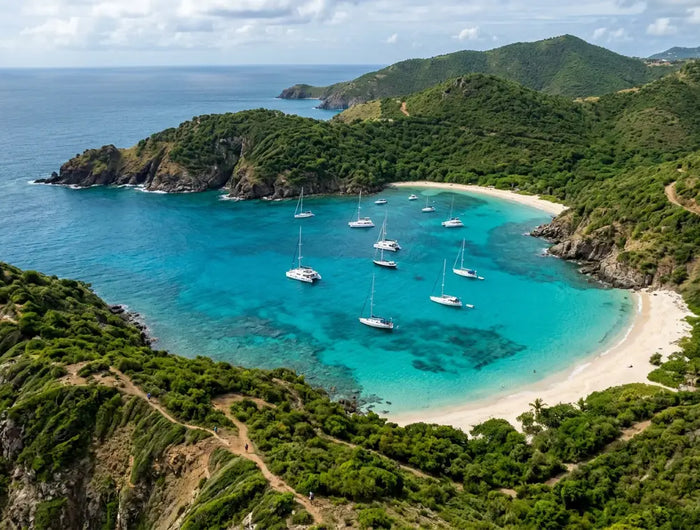 Aerial view of Anse de Colombier in St. Barths showing anchored sailboats, turquoise water, secluded white sand beach, and surrounding green hills.