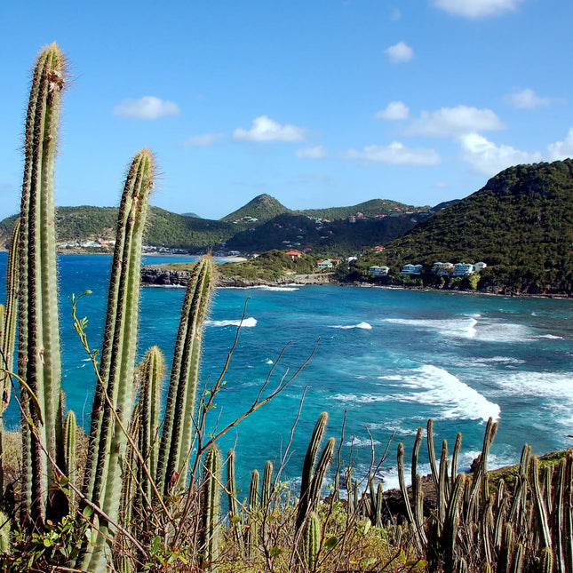 Coastal hiking trails overlooking Anse de Colombier in St. Barths, offering panoramic views of the Caribbean Sea and protected anchorage.