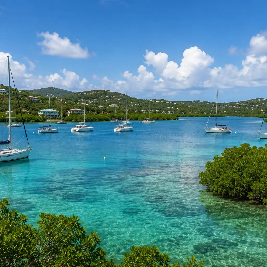 Cruising sailboats anchored in the calm turquoise waters of Benner Bay surrounded by mangroves and sheltered hillsides.