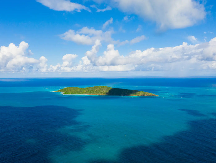 Aerial view of Buck Island Reef National Monument near St. Croix, U.S. Virgin Islands, featuring turquoise water, coral reefs, and protected beaches.