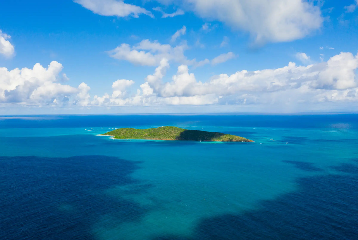 Aerial view of Buck Island Reef National Monument near St. Croix, U.S. Virgin Islands, featuring turquoise water, coral reefs, and protected beaches.