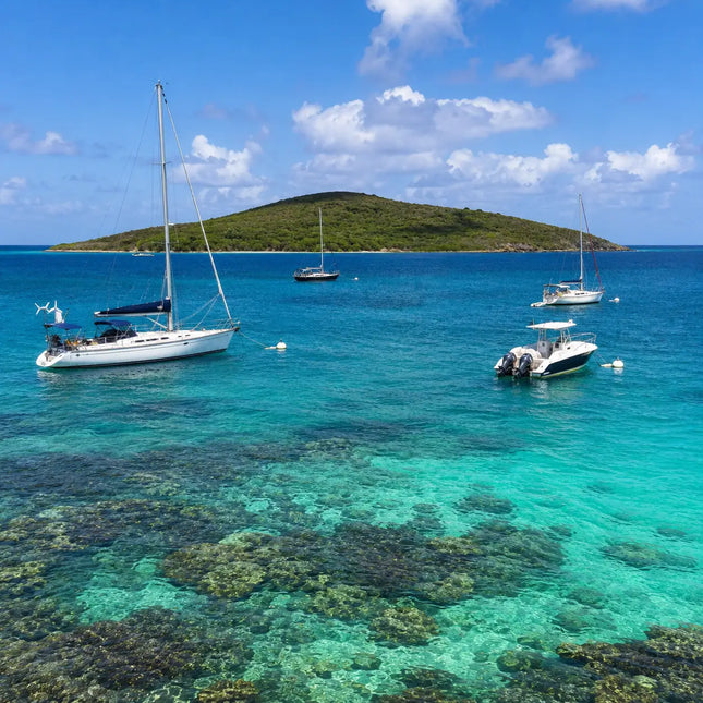 Sailboats and powerboats secured to National Park moorings above coral reefs at Buck Island Reef National Monument near St. Croix.