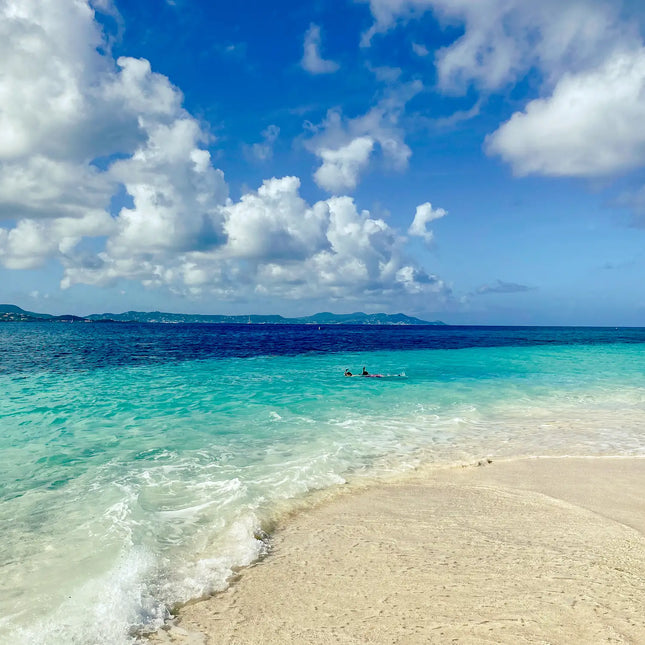 White sand beach and crystal-clear turquoise water at Turtle Beach on Buck Island Reef National Monument near St. Croix, U.S. Virgin Islands.