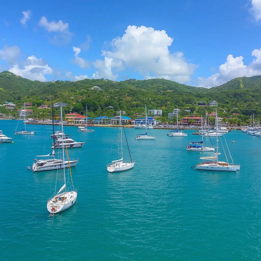 Sailboats and catamarans anchored in Charlotte Amalie Harbor with the waterfront and tropical hills of St. Thomas, U.S. Virgin Islands, in the background.