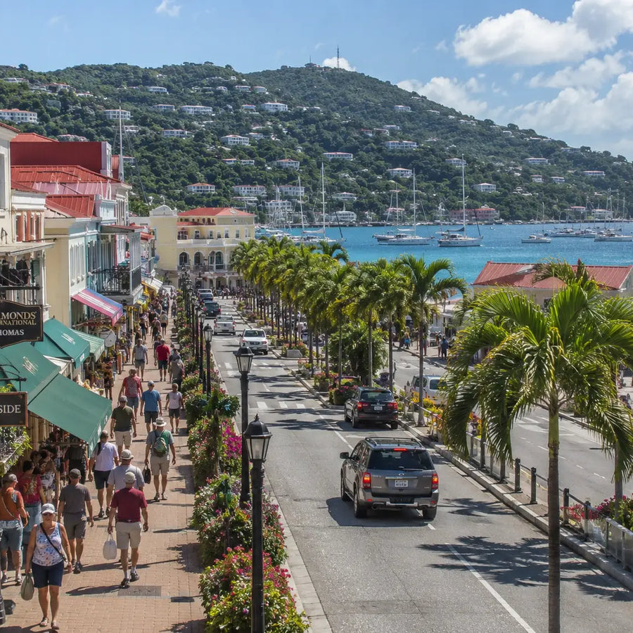 Palm-lined waterfront shopping district in Charlotte Amalie, St. Thomas, U.S. Virgin Islands, with Danish colonial buildings, boutiques, restaurants, and harbor views.