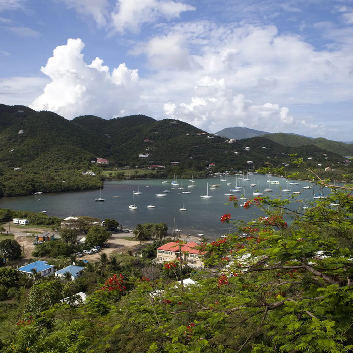Coral Bay