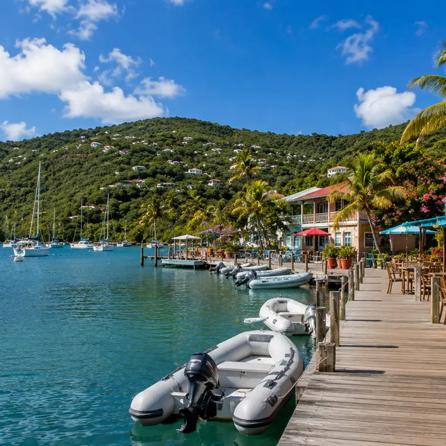 Relaxed waterfront in Coral Bay, St. John, U.S. Virgin Islands, featuring colorful Caribbean buildings, cafés, dinghies, palm trees, and anchored sailboats along the harbor.