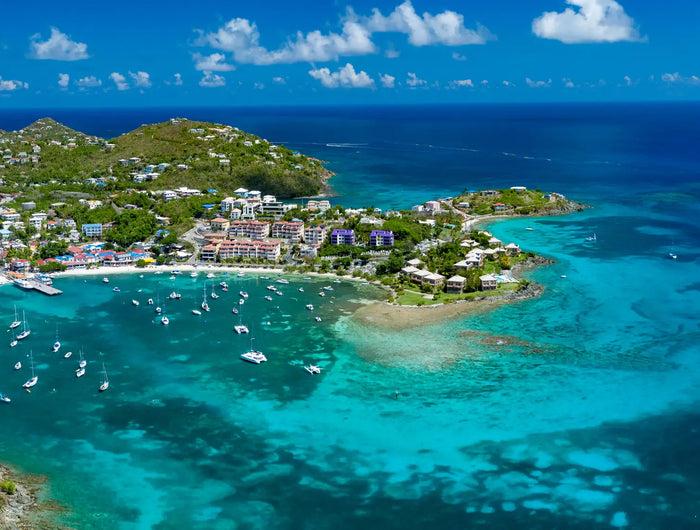 Elevated view overlooking Cruz Bay Harbor in St. John, U.S. Virgin Islands, with sailboats anchored in the protected bay beneath lush tropical hills.