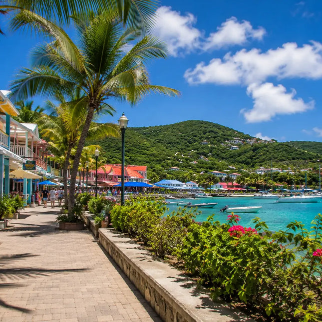 Palm-lined waterfront promenade in Cruz Bay, St. John, U.S. Virgin Islands, featuring colorful island shops, restaurants, sailboats, and the scenic harbor.
