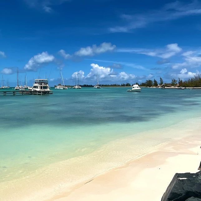Sailboats and powerboats offshore from a dock, with pale sand and shallow turquoise water in the foreground.