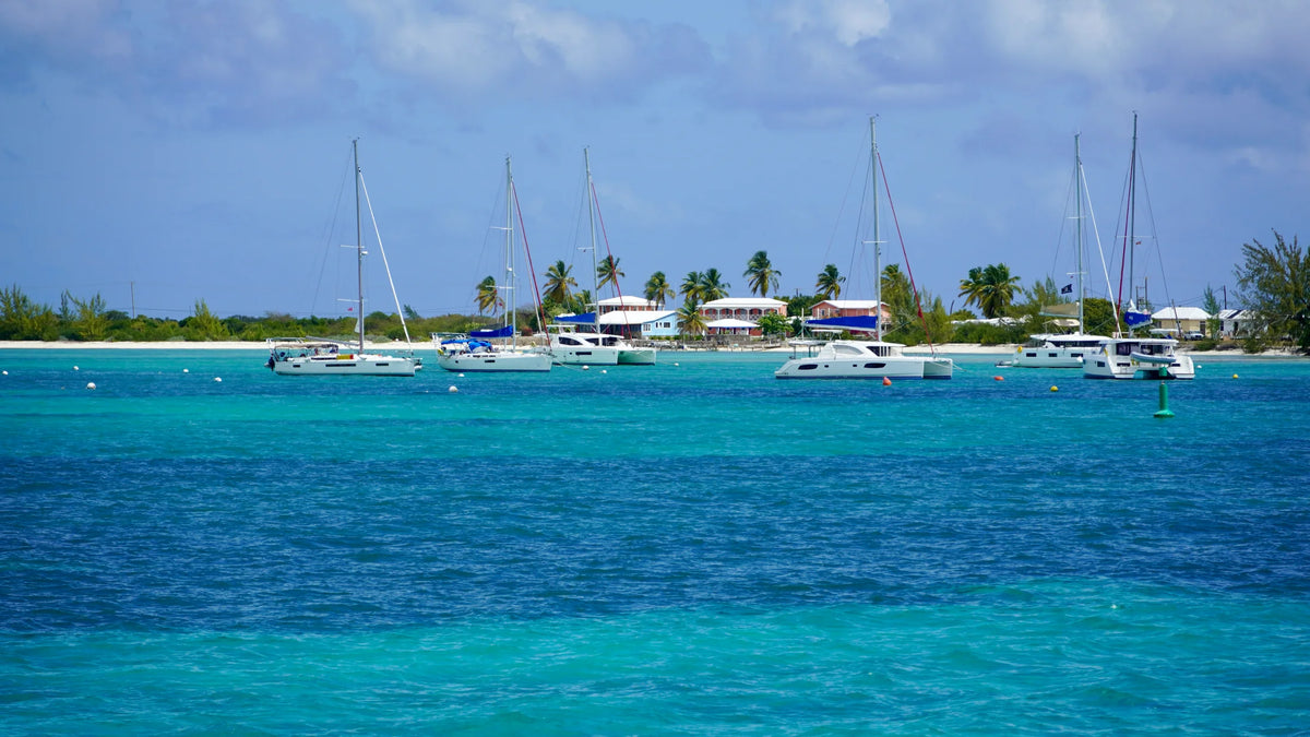 Several sailing catamarans moored in turquoise water off Anegada, with a low shoreline behind them.