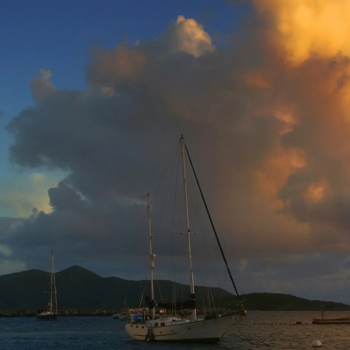 Trellis Bay