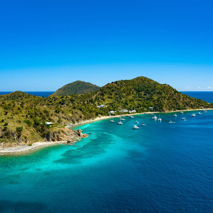 Manchioneel Bay