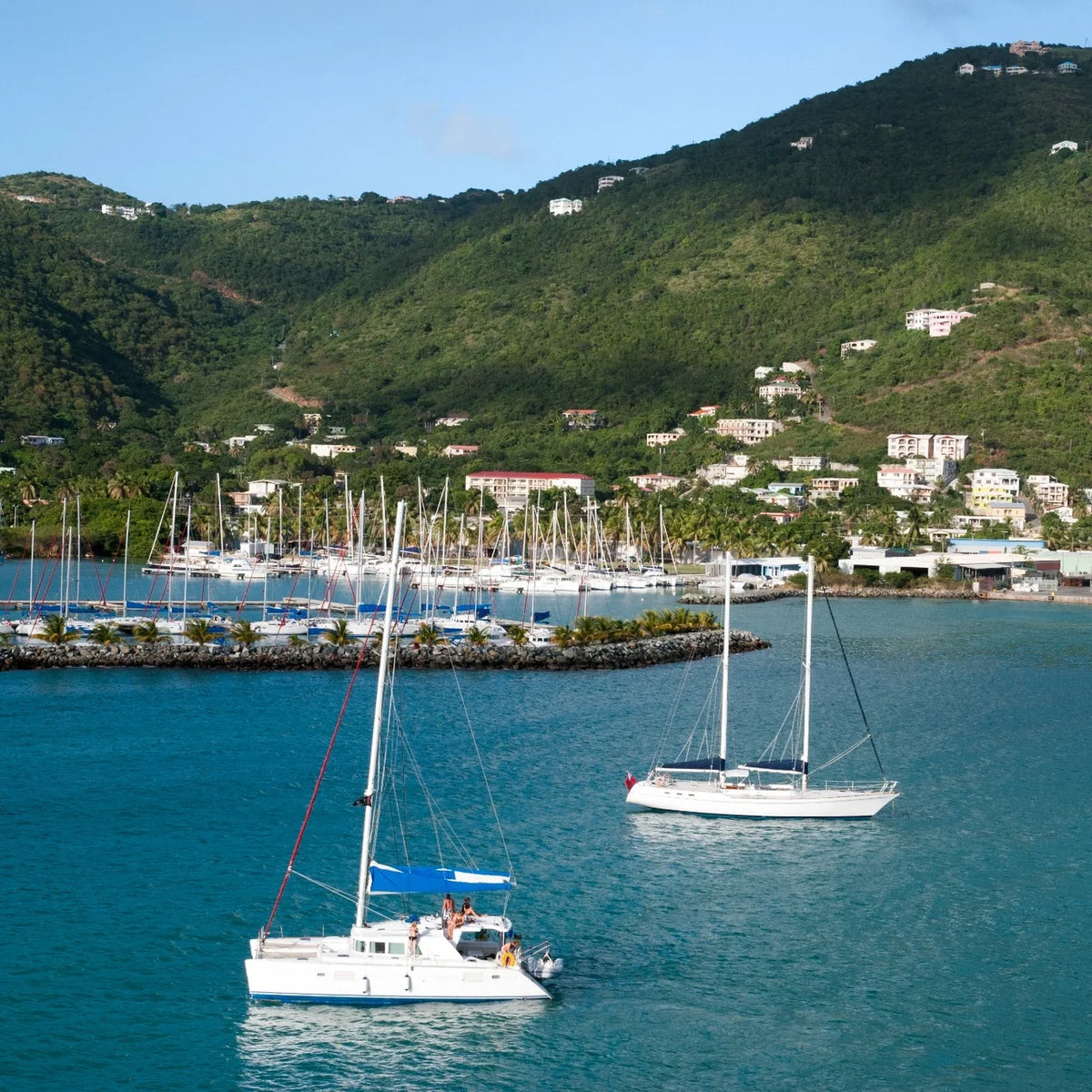 White catamaran and sailboat on blue water, with marina docks and green hills behind.