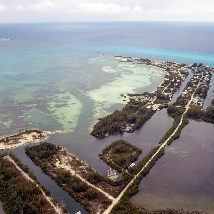Bimini