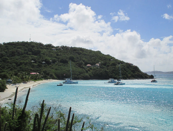 Sailboats anchored near the green shoreline of Great Harbour, Jost Van Dyke, British Virgin Islands