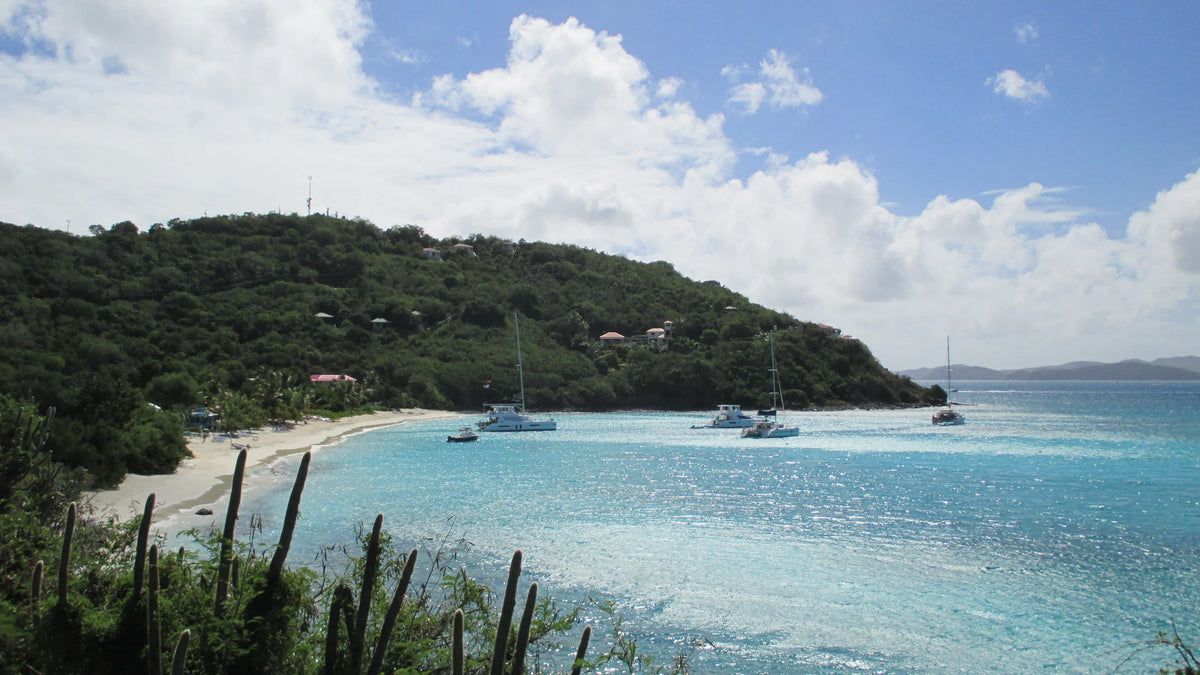 Sailboats anchored near the green shoreline of Great Harbour, Jost Van Dyke, British Virgin Islands