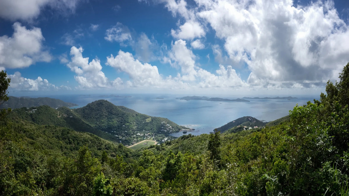Elevated view across wooded coastal hills and a small bay toward open sea and distant islands beneath scattered clouds.