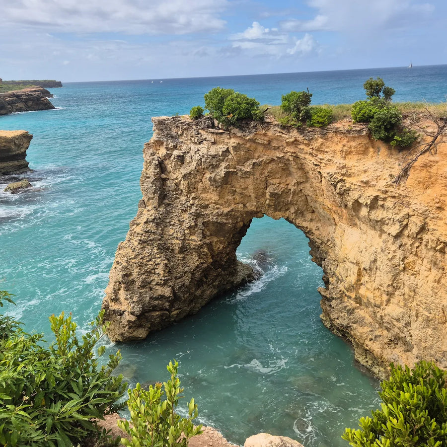 Waves wash beneath a weathered coastal arch, with shrubs above the cliffs and a distant sailboat offshore.
