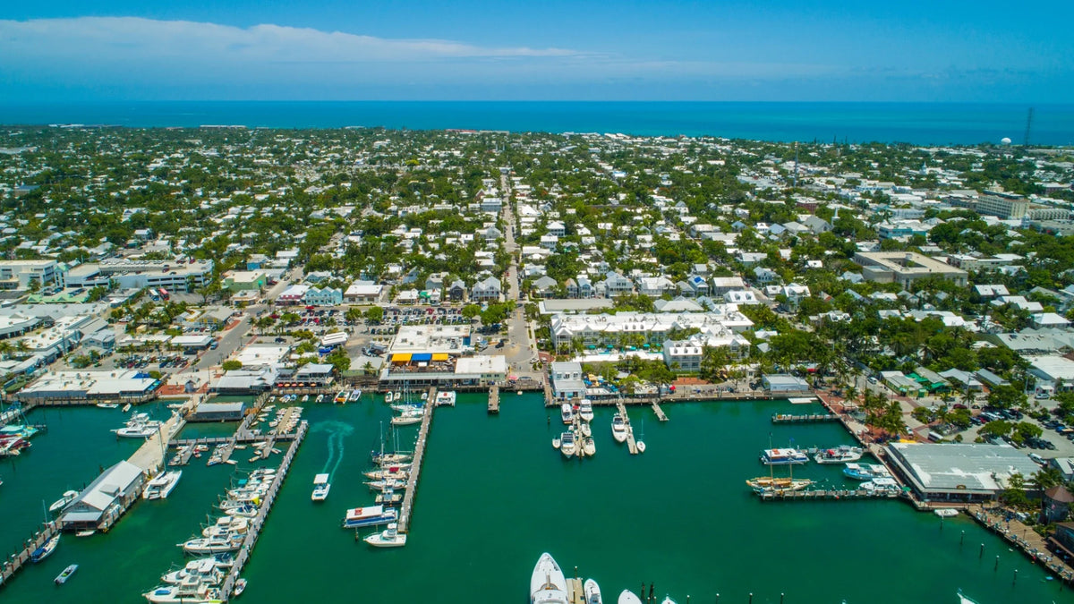 Aerial view of boats at branching docks, green harbor water and low-rise buildings extending toward the ocean.