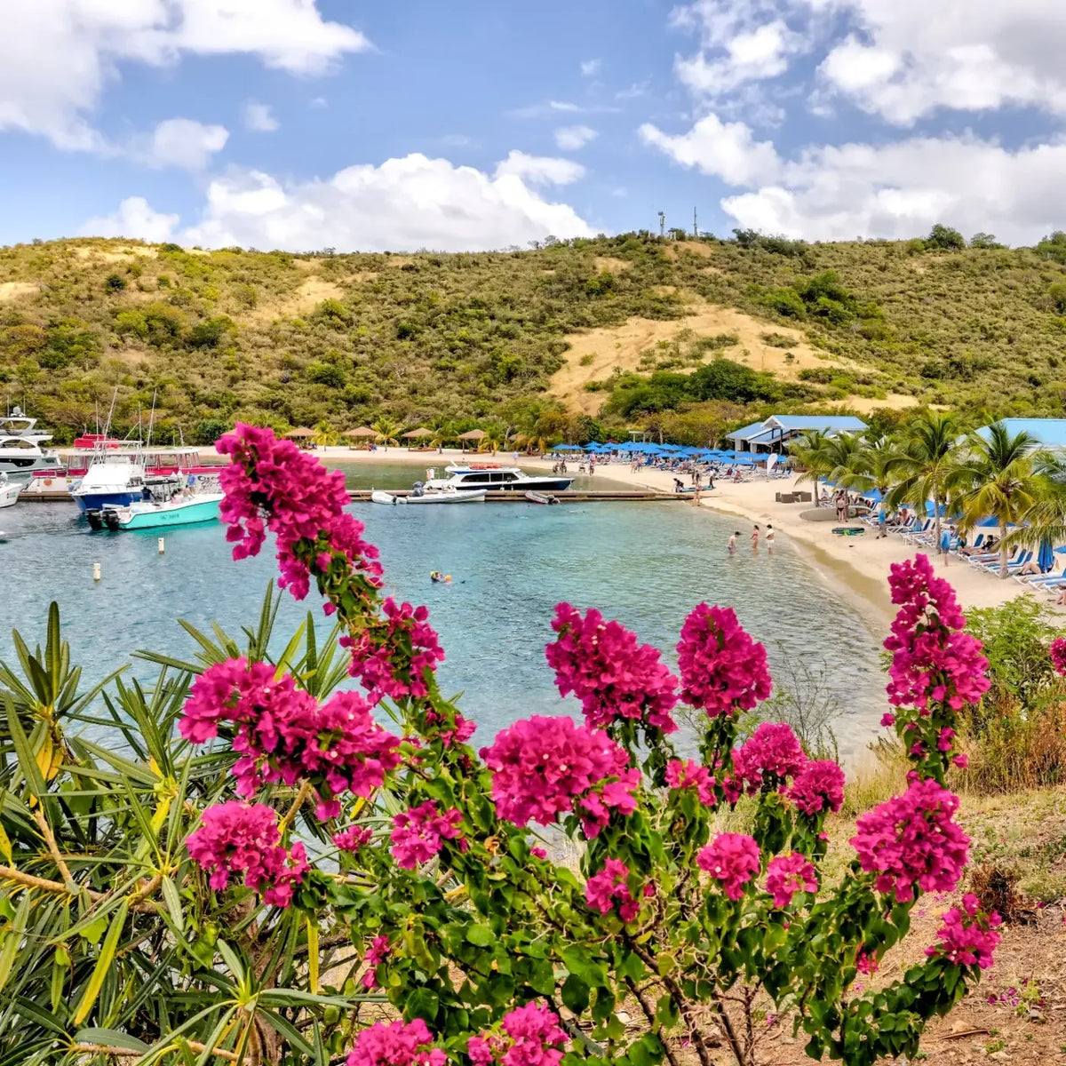 Pink bougainvillea frames a curved beach, waterfront seating and boats beside a pier beneath green hills.