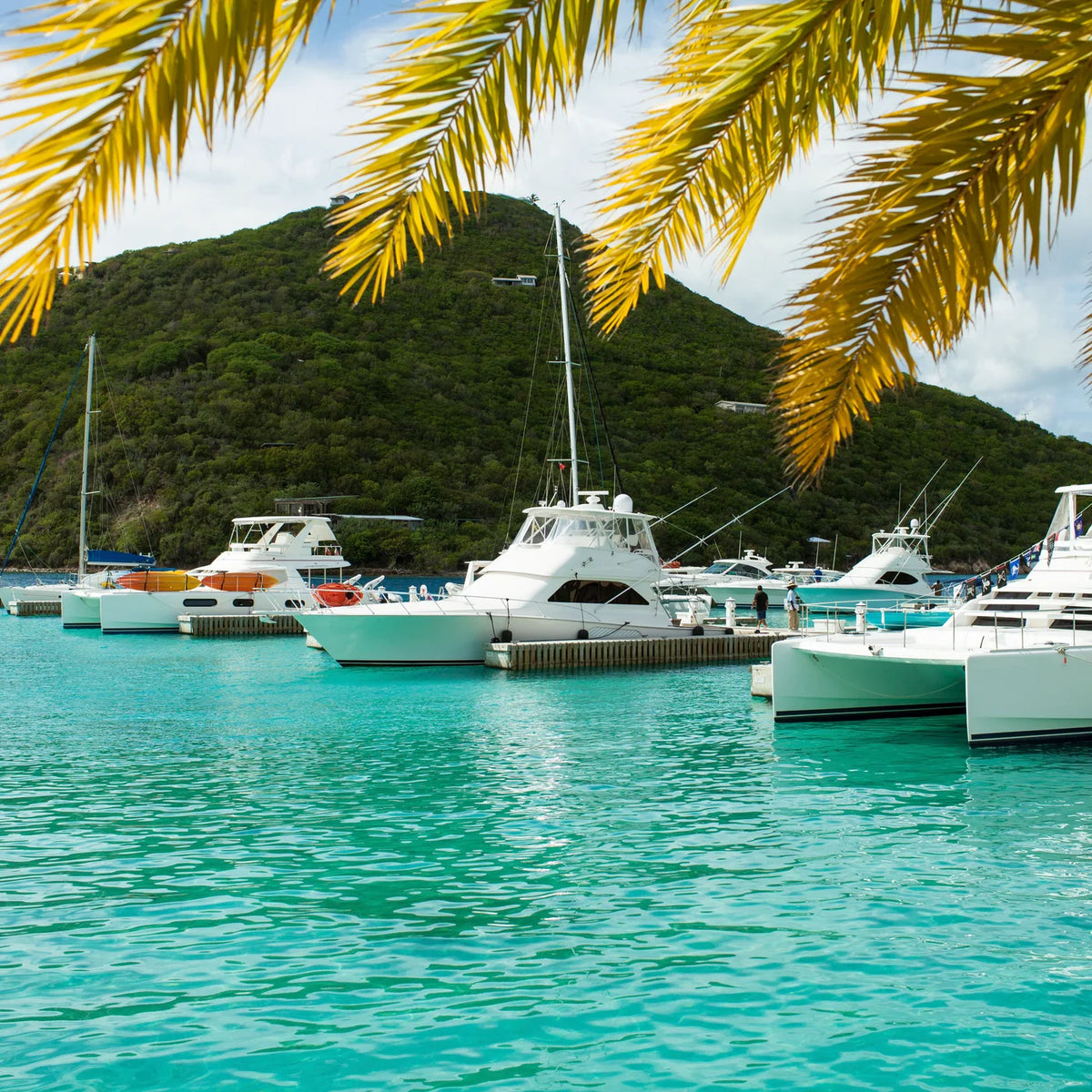 Marina & Waterfront at Scrub Island.
