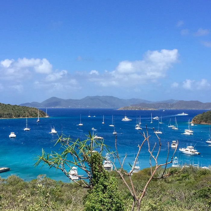 The Bight, Norman Island
