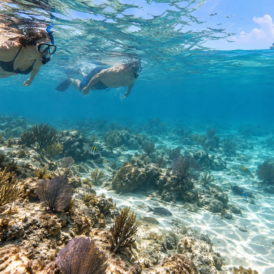 Two snorkelers above a patchy reef with sea fans, fish and sandy seabed, with a small boat visible at the surface.