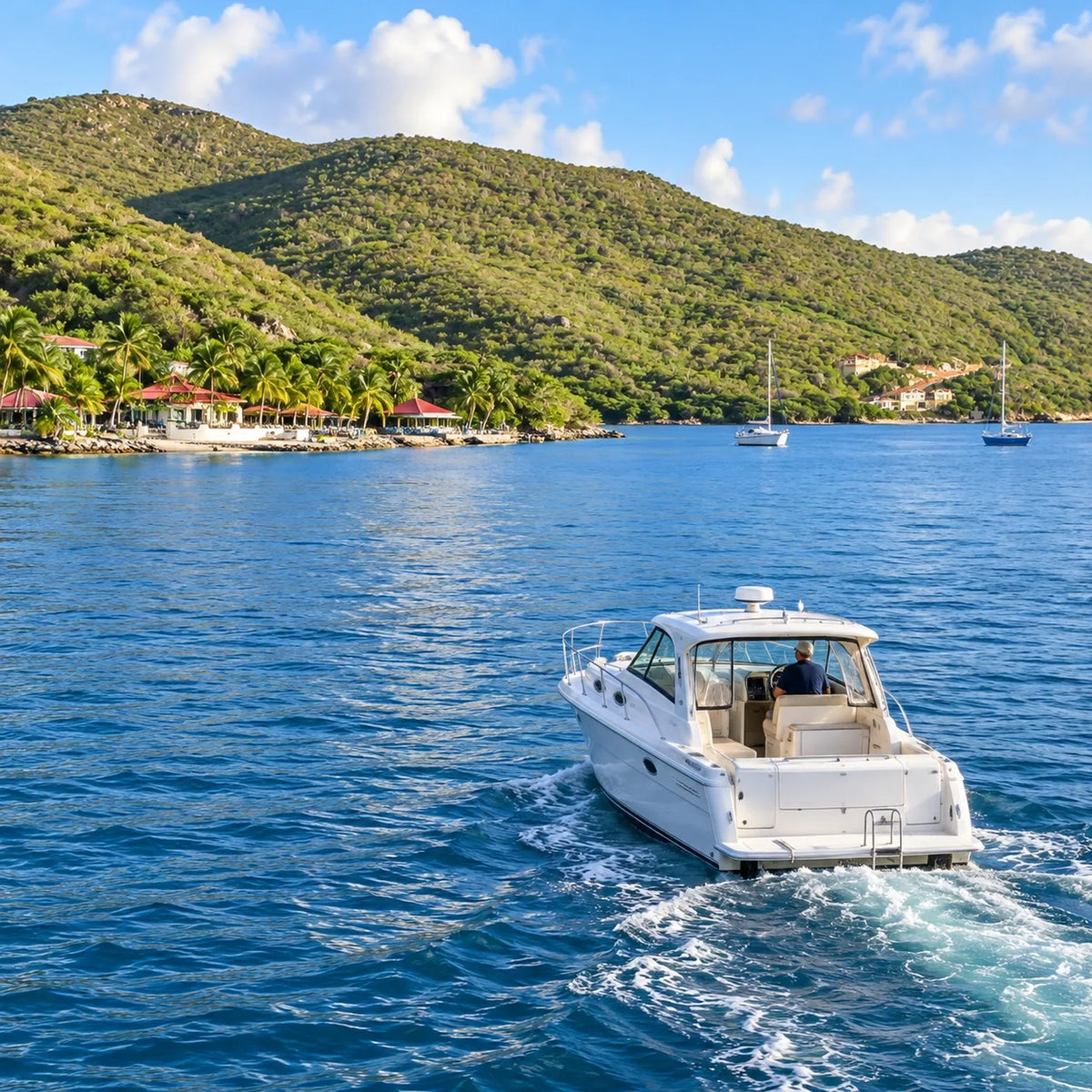 Rear view of a white power cruiser leaving a gentle wake, with sailboats, red-roof waterfront buildings and green hills ahead.