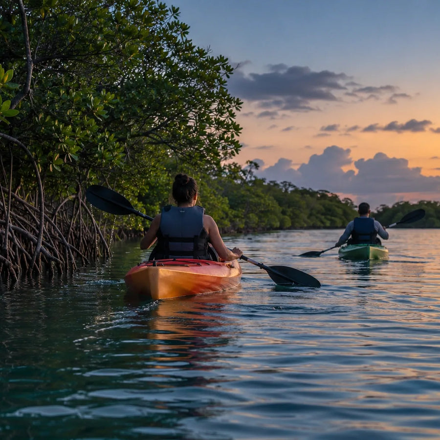 Two kayakers wearing flotation vests paddle beside exposed mangrove roots, with warm twilight reflected on rippling water.