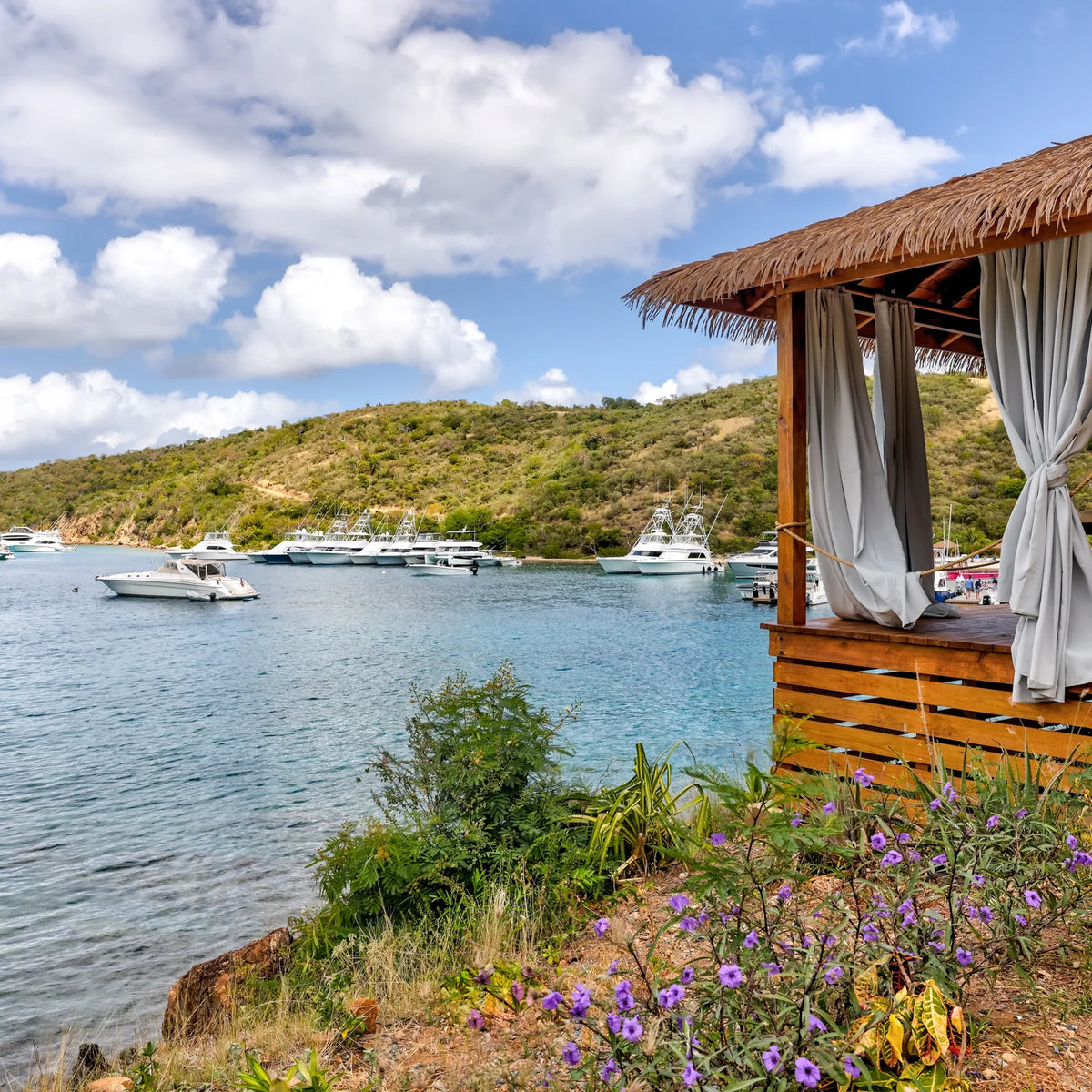 Flower-lined shoreline beside a thatched-roof building, with sailboats and powerboats across the bay.