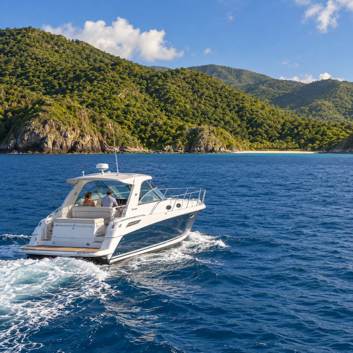 Power cruiser leaving a gentle wake as it heads toward a wooded coastline and sandy beach.