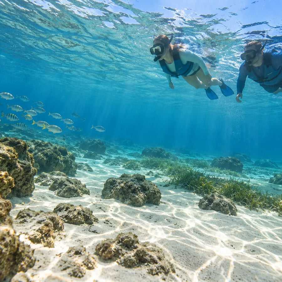 Two snorkelers wearing flotation vests swim above sand, rocks and patches of seagrass, with a school of fish to the left.