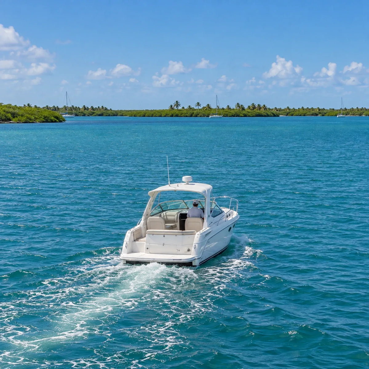 Rear view of a white power cruiser leaving a short wake, with distant sailboats, mangroves and palms ahead.