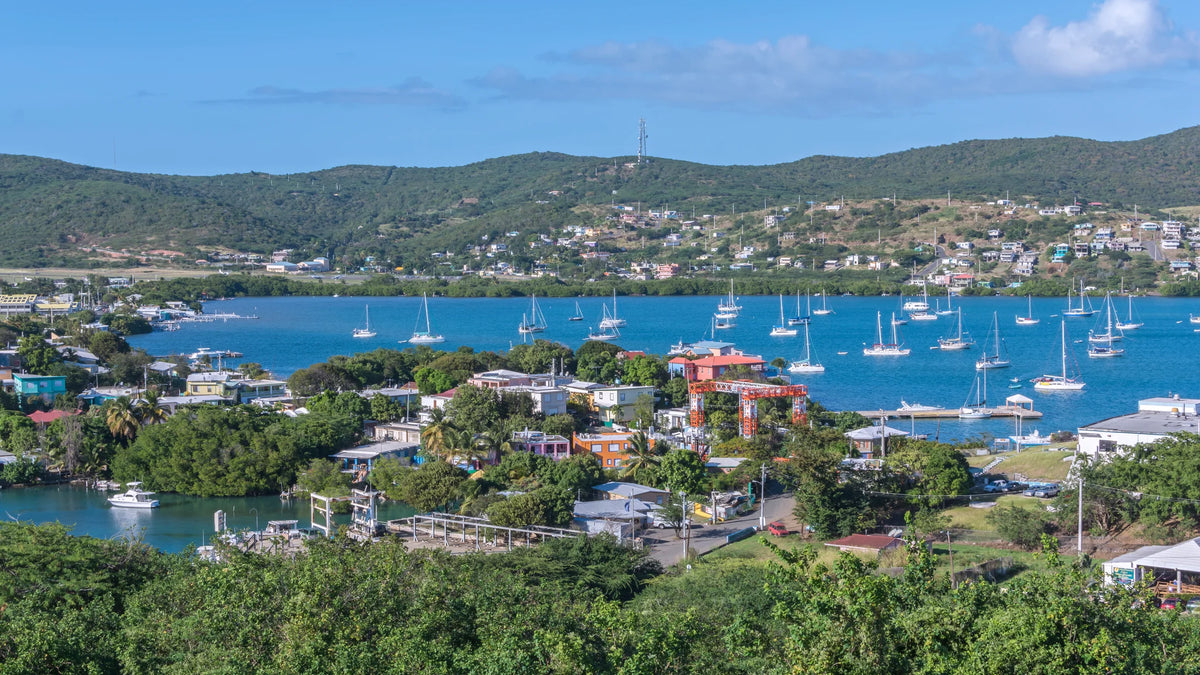 Elevated view of colorful waterfront buildings, anchored sailboats, blue water, and green hills.