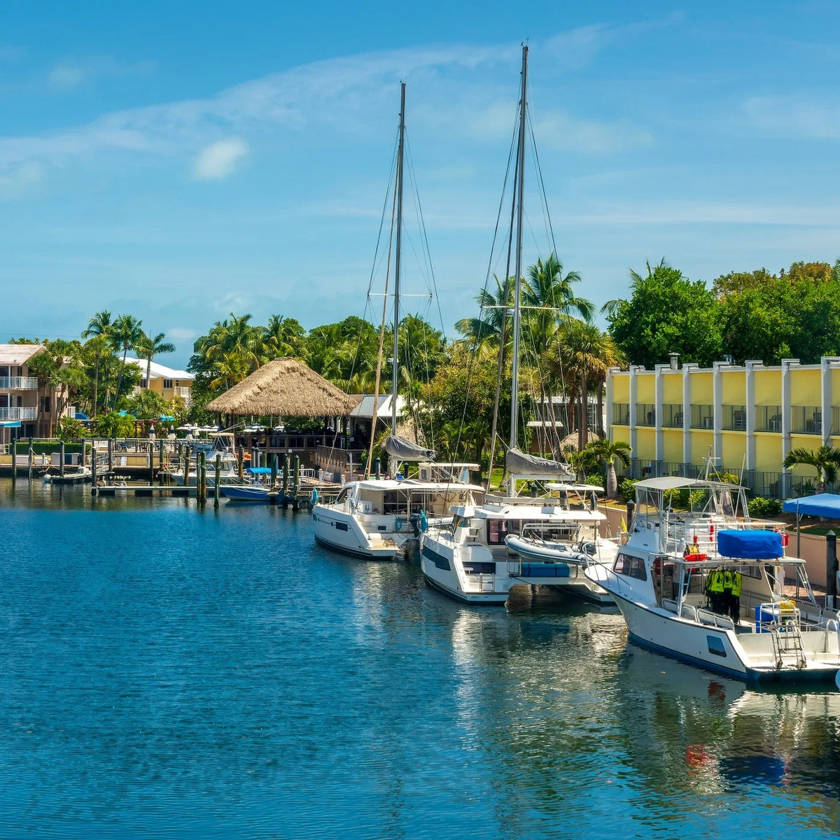 Docked sailing catamarans and a powerboat beside palm trees, waterfront buildings and a thatched pavilion.