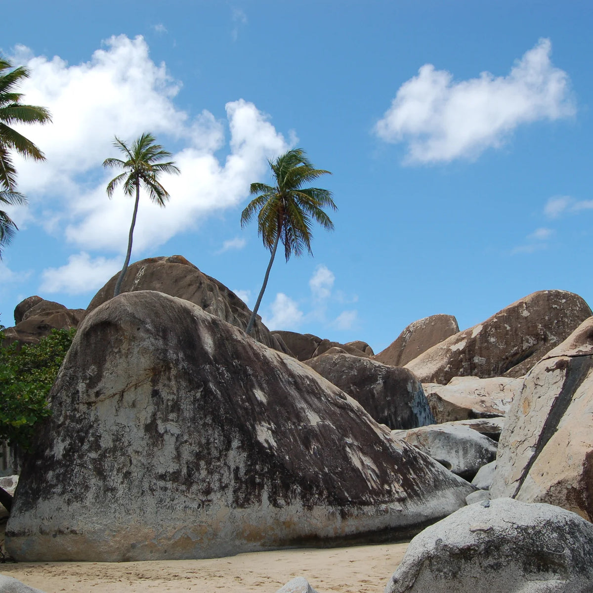 Rounded boulders rise from pale sand beneath tall palm trees and a blue sky.