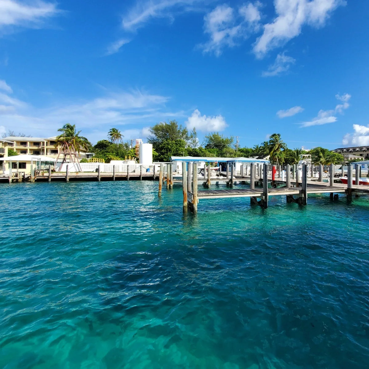 White dock pilings frame marina slips above blue-green water, with palms and waterfront buildings beyond.