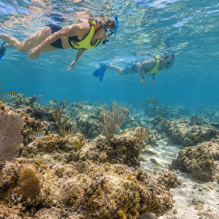 Two snorkelers wearing flotation vests swim above rocky reef habitat, sea fans and small fish.