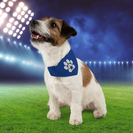 Dallas Football Dog Bandana Collar: Texas Pet Gift