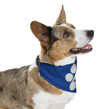 Dallas Football Dog Bandana Collar: Texas Pet Gift