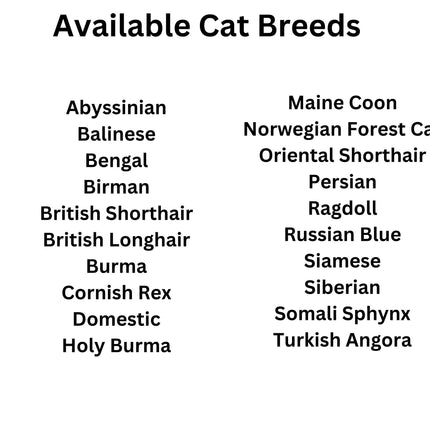 Youth Personalized Pet Hoodie: Custom Dog or Cat Sweatshirt