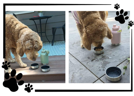 Personalized Dog Travel Water Bottle 3-in-1 | Custom Pet Name Bottle with Bowl & Treat Storage | Hiking Dog Water Bottle | Pet Travel Gift