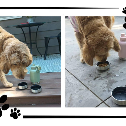 Personalized Dog Travel Water Bottle: 3-in-1 Stainless Steel Pet Hydration