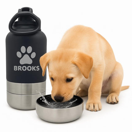 Golden puppy drinking water from a stainless steel bowl attachment next to a black and silver personalized pet water bottle labeled “BROOKS” with a paw print design. The scene is bright and clean, highlighting the product’s modern, travel-friendly design for pets.