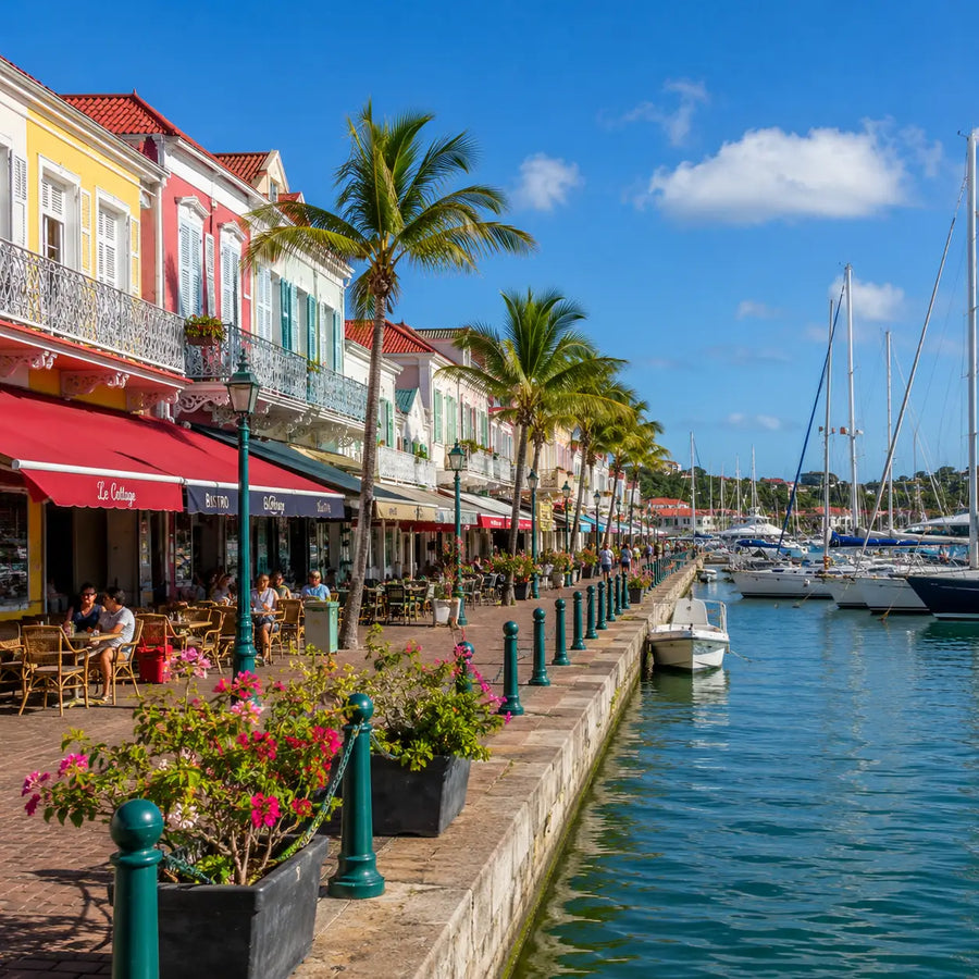 Colorful French-Caribbean waterfront promenade in Marigot Harbor featuring cafés, marina walkways, sailboats, and palm-lined streets.