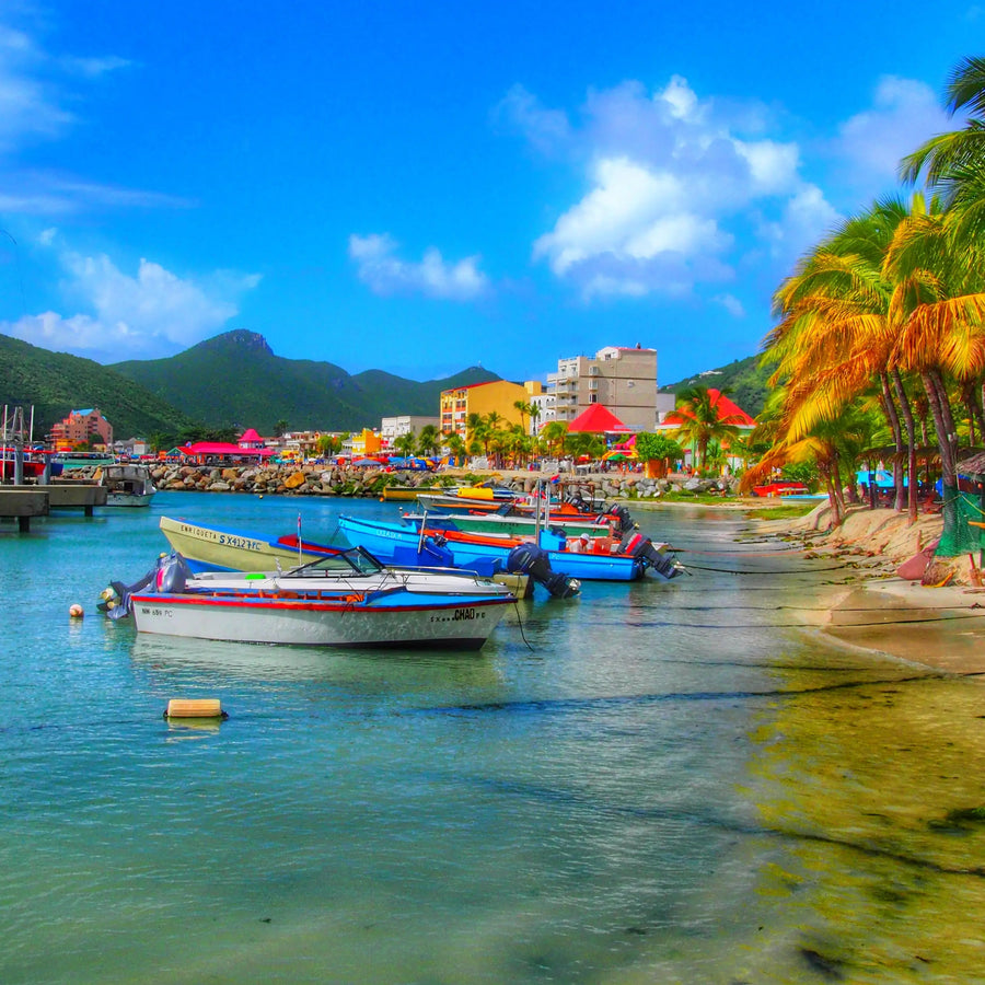 Boats and marina facilities along the waterfront in Philipsburg Sint Maarten featuring palm-lined shoreline, Caribbean harbor activity, and sailing vessels