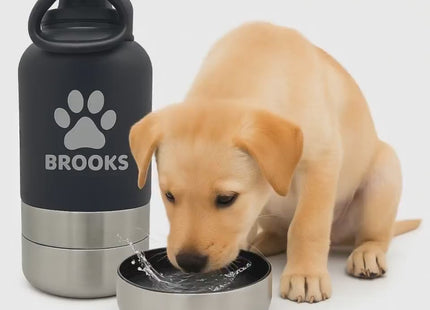Personalized Dog Water Bottle: Stainless Steel Travel Pet Feeder, Custom Engraved