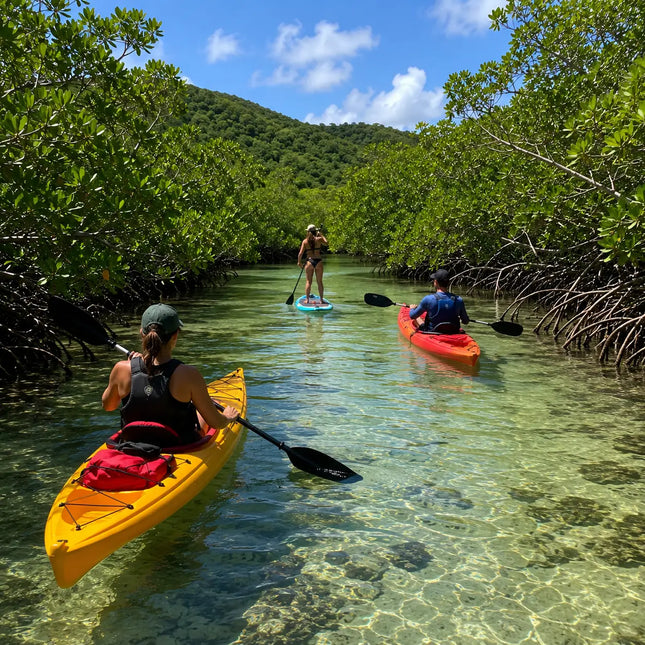 Kayakers and paddleboarders exploring the mangrove-lined waterways of Salt River Bay, St. Croix, surrounded by clear tropical water and lush coastal vegetation.