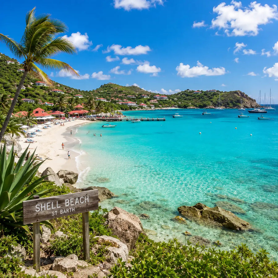 Shell Beach near Gustavia Harbor in St. Barthélemy featuring turquoise Caribbean waters, tropical shoreline, and a popular destination for visiting sailors